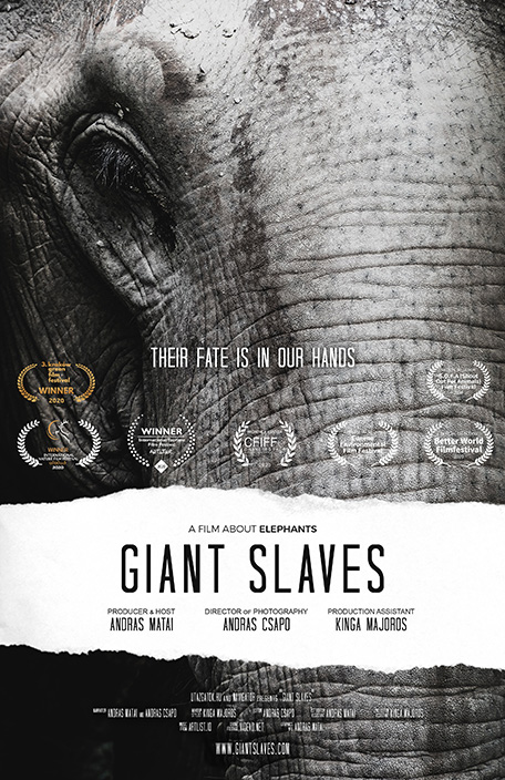 Giant Slaves movie poster